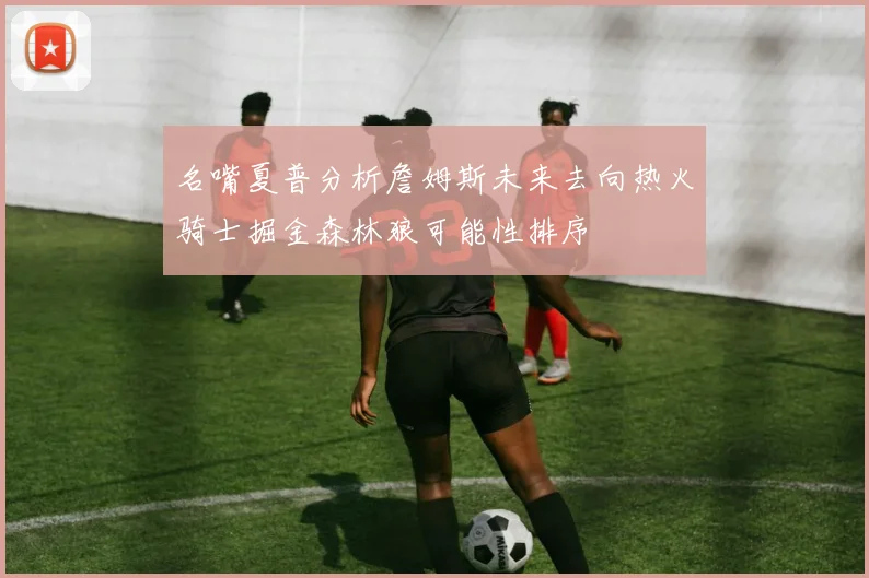 名嘴夏普分析詹姆斯未来去向热火骑士掘金森林狼可能性排序