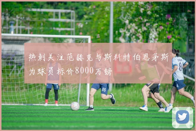 热刺关注范赫克与斯科特伯恩茅斯为球员标价8000万镑